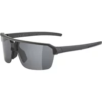 Sunglasses Alpina SWIFT HR image 2