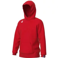 Hooded sweatshirt Arena Team Panel image 2