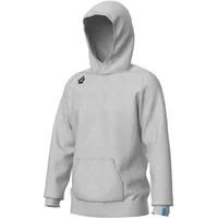 Hooded sweatshirt Arena Team Panel image 2