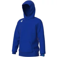 Hooded sweatshirt Arena Team Panel image 2