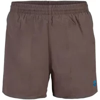 Swim shorts Arena Bywayx R image 2
