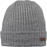 Barts Wilbert Turnup Hat