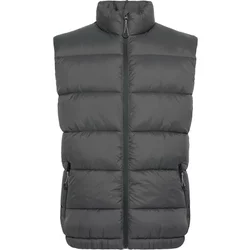 Sleeveless Down Jacket Blend Bheiden