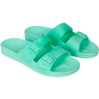 Slides Cacatoès Rio De Janeiro