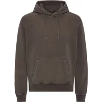 Kapuzensweatshirt Colorful Standard Classic