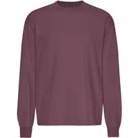 Oversized long-sleeve T-shirt Colorful Standard Organic Dusty Plum
