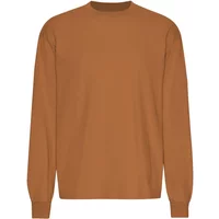 Oversized long-sleeve T-shirt Colorful Standard Organic Ginger Brown