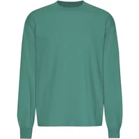 Oversized long-sleeve T-shirt Colorful Standard Organic Pine Green