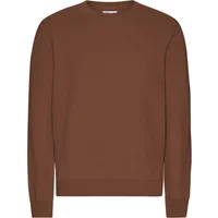 Sweater Colorful Standard Classic Organic Cinnamon Brown