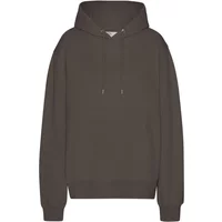 Hooded sweatshirt Colorful Standard Classic Organic Coffee Brown