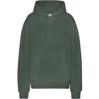 Hooded sweatshirt Colorful Standard Classic Organic Midnight Forest
