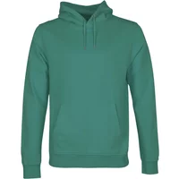 Hoodie Colorful Standard Classic Organic Pine Green