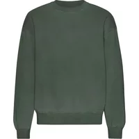 Colorful Standard Organic Midnight Forest Oversized Crewneck Sweatshirt