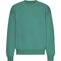 Oversized crewneck sweatshirt Colorful Standard Organic Pine Green