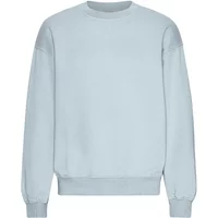 Oversized crewneck sweatshirt Colorful Standard Organic Powder Blue