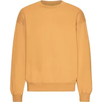 Oversized crewneck sweatshirt Colorful Standard Organic Sandstone Orange