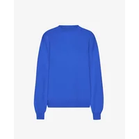 Oversized sweatshirt Colorful Standard Sapphire Blue