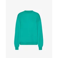 Oversize-Sweatshirt Colorful Standard Tropical Sea