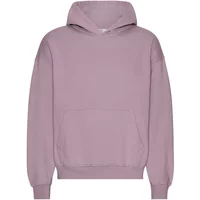 Oversized hooded sweatshirt Colorful Standard Organic Pearly Purple