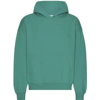 Oversized hooded sweatshirt Colorful Standard Organic Pine Green