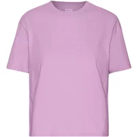 Women's T-shirt Colorful Standard Organic Boxy cherry blossom