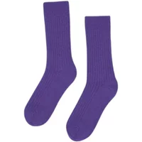 Football Socks Colorful Standard Ultra Violet