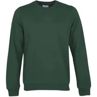 Sweatshirt Crewneck Colorful Standard Classic Organic emerald green