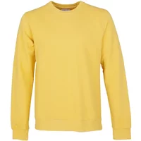 Sweatshirt Crewneck Colorful Standard Classic Organic lemon yellow