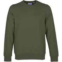 Sweatshirt Crewneck Colorful Standard Classic Organic seaweed green