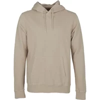 Hoodie Colorful Standard Classic Organic oyster grey