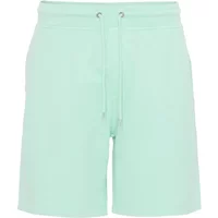 Short Colorful Standard Classic Organic light aqua