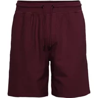 Short Colorful Standard Classic Organic oxblood red