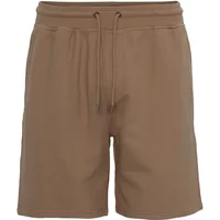 Short Colorful Standard Classic Organic sahara camel