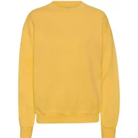Sweatshirt Crewneck Colorful Standard Organic oversized burned yellow