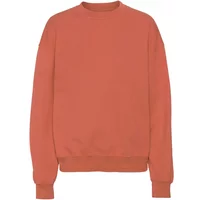 Sweatshirt Crewneck Colorful Standard Organic oversized dark amber