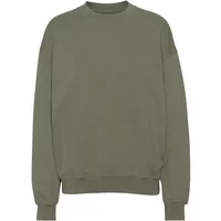 Sweatshirt Crewneck Colorful Standard Organic oversized dusty olive