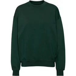 Sweatshirt Crewneck Colorful Standard Organic Oversized Hunter Green