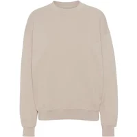Sweatshirt Crewneck Colorful Standard Organic oversized ivory white