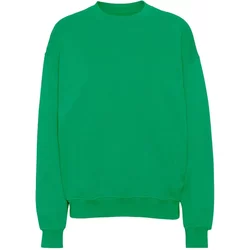 Sweatshirt Crewneck Colorful Standard Organic Oversized Kelly Green