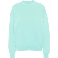 Sweatshirt Crewneck Colorful Standard Organic oversized light aqua