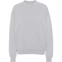 Sweatshirt Crewneck Colorful Standard Organic oversized limestone grey