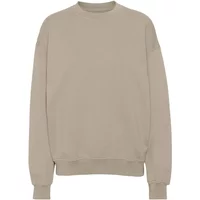 Sweatshirt Crewneck Colorful Standard Organic oversized oyster grey