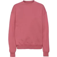 Sweatshirt Crewneck Colorful Standard Organic oversized raspberry pink