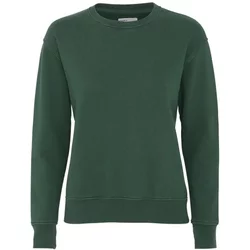 Women's Round Neck Sweater Colorful Standard Classic Organic Emerald Green