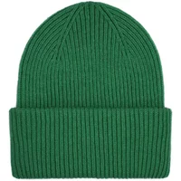 Wool hat Colorful Standard Merino kelly green