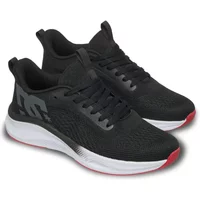 Baskets DC Shoes Roammax