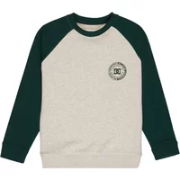 Sweatshirt child DC Shoes Corpo Raglan