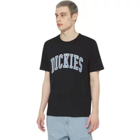Sweatshirt Dickies Aitkin