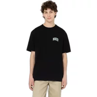 Short sleeve T-shirt Dickies Aitkin Chest