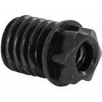 Velo Store - UK radius nut DT Swiss Torx M5 | Extra 10% off with Subscription, Postage £16.79 to UK Fedex.